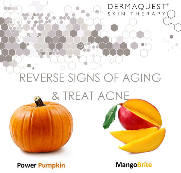 Dermaquest Mango and Pumpkin peel Skin Renewal 